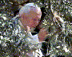 Pope by almond trees at site near where burning bush once stood