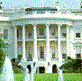 Tarnished White House