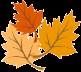 Time to turn over a new leaf