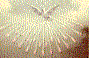 Holy Spirit prevalent in Old and New Covenant