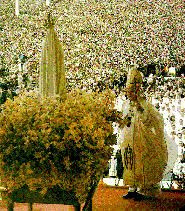 Holy Father is intricately linked with Fatima and the Triumph
