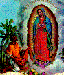 Outpouring of love from faithful as millions honor the Patroness of the Americas