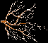 branches discover they cannot exist on their own