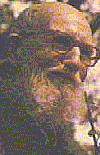 Father Solanus Casey